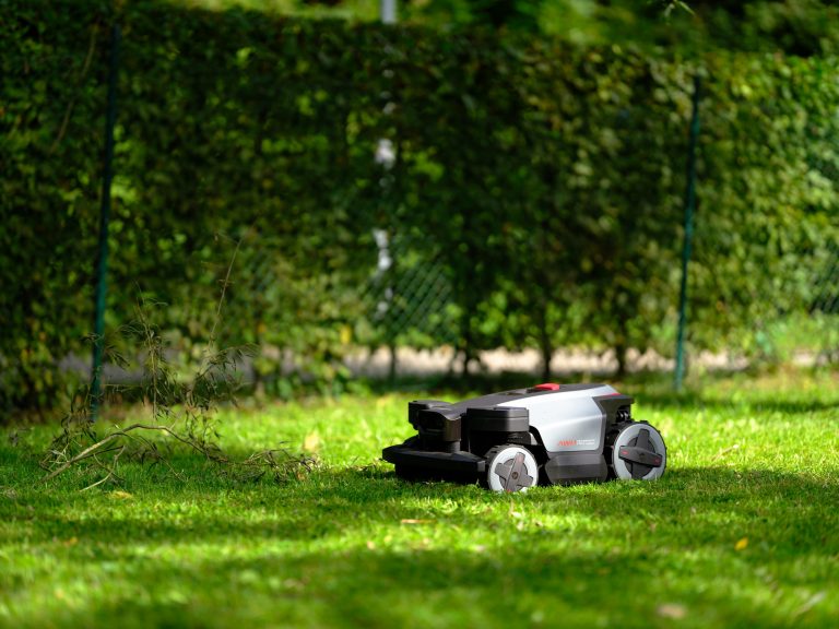 I giardini italiani sono il terreno giusto per i nuovo RockMow